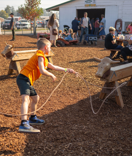 Cow Roping