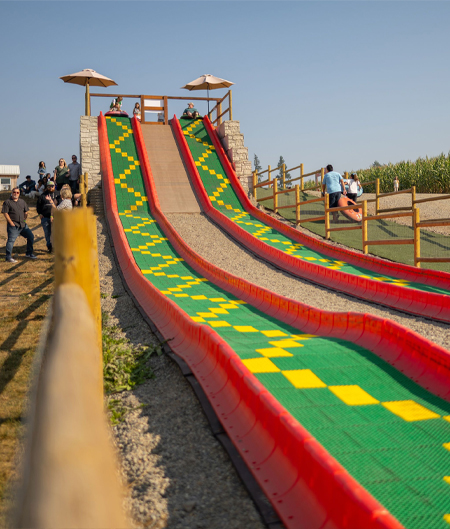 Mega Slide