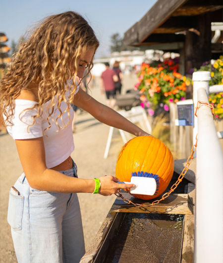 Pumpkin Wash