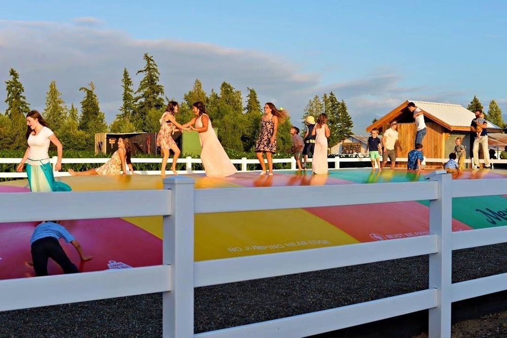 Large Group On Jumping Pillow