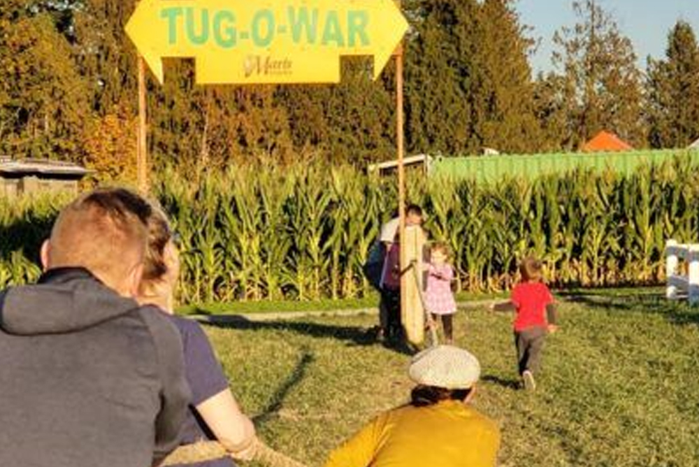 Guests Playing Tug O War Guests Playing Tug O War