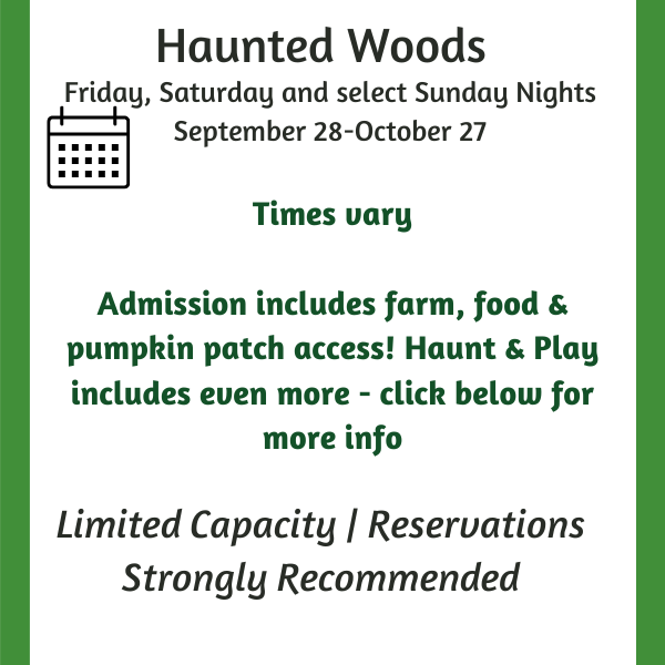 Haunted-Woods-4