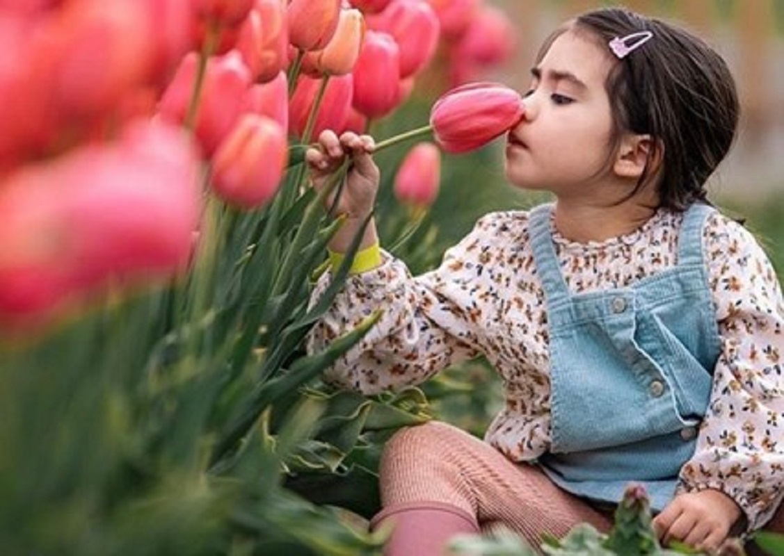 home-baby-animals-and-blooms cropped
