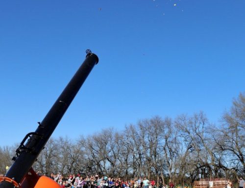 Candy Cannon